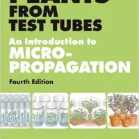 Микроклональное размножение растений in vitro