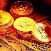 Живой портфель