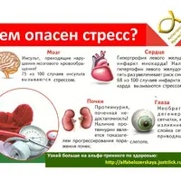 Техники ЗиЛ. Практикум