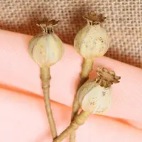 Маковая коробочка из фоамирана