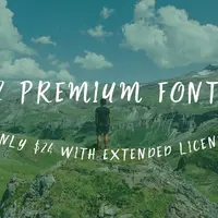 12 Премиальных шрифтов с расширенной лицензией