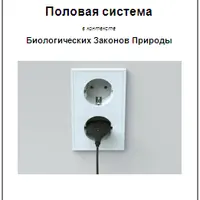 Половая система в контексте Биологических Законов Природы