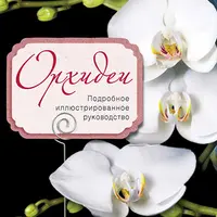 Орхидеи и другие цветы: руководство по выращиванию садовых и комнатных растений