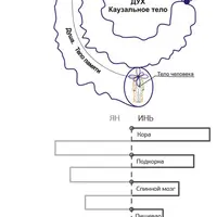 Практика сканирования и гармонизации Каузального тела человека (Духа). Раскидушка
