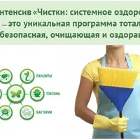 Чистки: Системное оздоровление