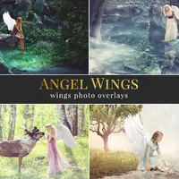 Крылья ангелов. Оверлеи