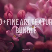 Fine Art Textures Bundle