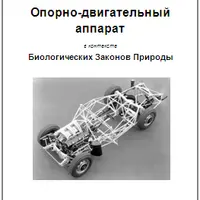 Опорно-двигательный аппарат в контексте Биологических Законов Природы