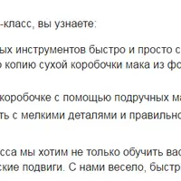 Сухая коробочка мака