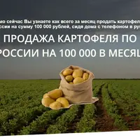 Продажа картофеля по России на 100 000 в месяц