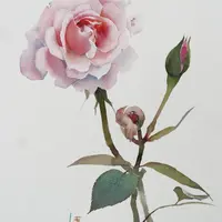 Рисуем одноцветную розу