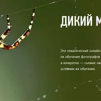 Дикий макромир