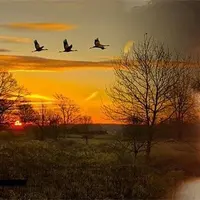 Осень. Рецепты для здоровья