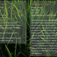 Я против чисток