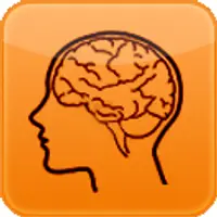 Улучши свою память за минуты