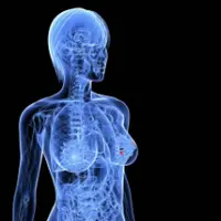 Оздоравливаем эндокринную систему