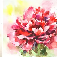 Эмоциональный скетчинг. Нежные пионы