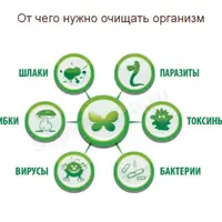Интоксикация организма. Очищение