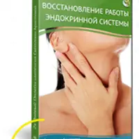 Восстановление эндокринной системы