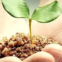 Нейронастрои