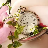 Время для жизни. Как найти резервы времени для общения, обучения и хобби