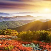 Идеальный день