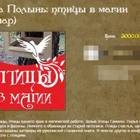 Птицы в магии