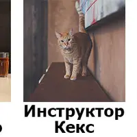Продвинутый HTML и CSS