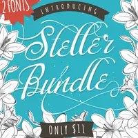 13 Шикарных шрифтов с глифами