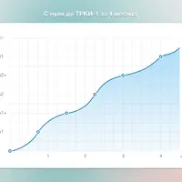 Русский с нуля: практикум преподавания русского как иностранного