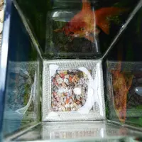 Многослойное вживление в поталь. Вазон Золотая рыбка