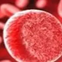 Здоровая кровь - лучшая защита от болезней