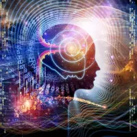 Альфа практика