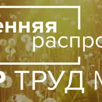Большая весенняя распродажа. Комплект тренингов