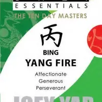 Основы Ба Цзы. 10 господинов дня. Огонь Ян