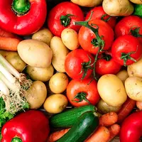 Грядки на асфальте