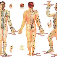 Оздоровление печени, почек и желудка восточными методами
