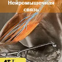 Развитие нейромышечной связи