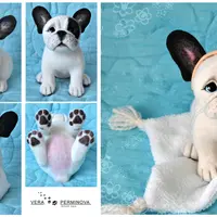 Щенок французского бульдога