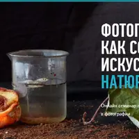 Фотография как современное искусство: натюрморт