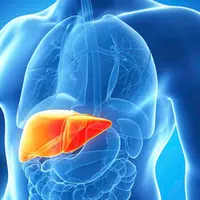 Аюрведические методы оздоровления печени