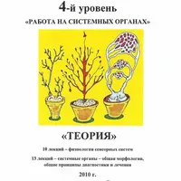 Лекции по остеопатии. 4 уровень: Работа на системных органах