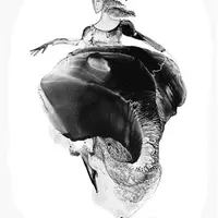 Развиваем художественное видение