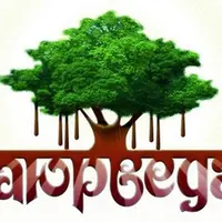 Аюрведа. Оздоровление почек и желчевыводящей системы