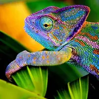 Семинар по цвету