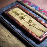 Шкатулка «Цветок императора»