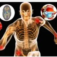 Основы физиологии для фитнес-инструктора