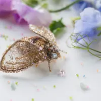 Моделирование и вышивка трехмерных насекомых