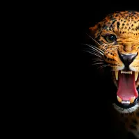 Дизайн эмоций и состояний 3.0