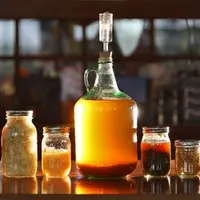 Искусство ферментирования